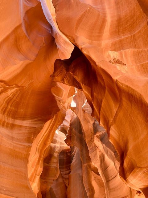 Vegas: Upper Antelope Canyon, Horseshoe Bend, Lake Powell - Full Description