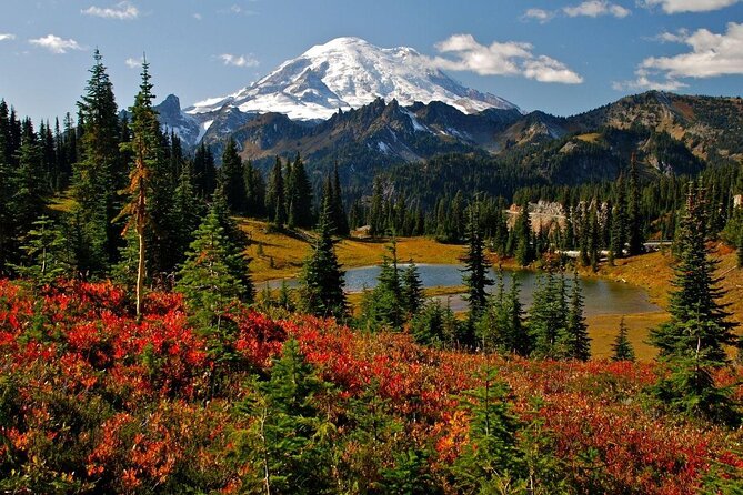 Viator Exclusive Day-Tour From Seattle to Mt. Rainier - Traveler Experience Details