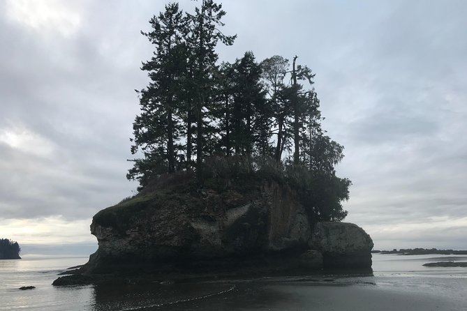 Viator Exclusive Tour- Olympic National Park Tour From Seattle - Tour Guide Kevins Performance