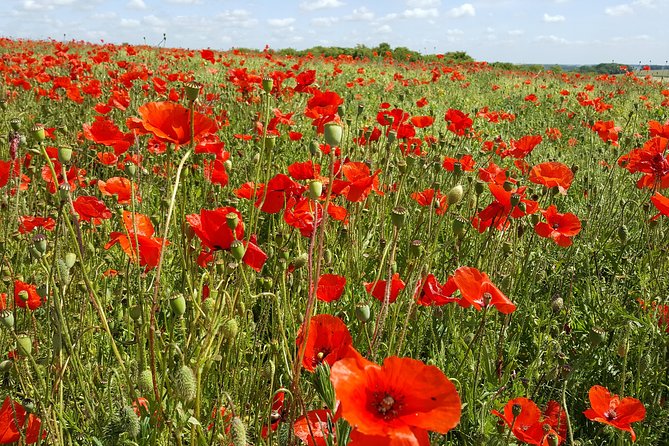 Vimy and Flanders Fields Canadian Battlefield Tour From Lille - Traveler Reviews