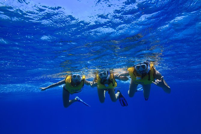 Waikiki: Turtle Canyon Snorkeling Tour From Honolulu  - Oahu - Logistics and Recommendations