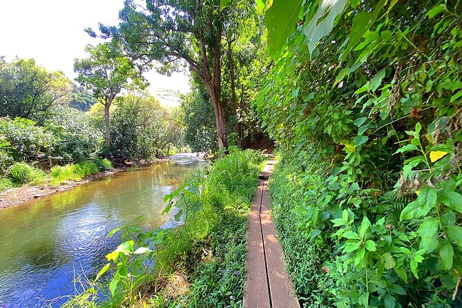 Wailua River and Secret Falls Kayak and Hiking Tour on Kauai - Safety and Comfort Measures