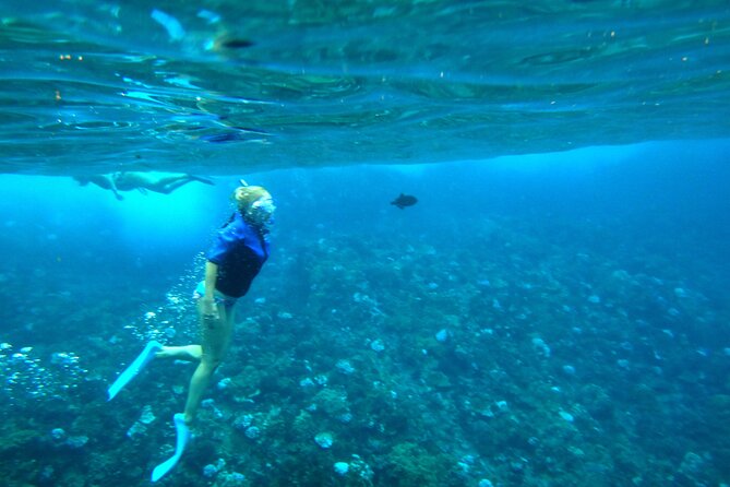 Wailuku Coral Gardens Snorkeling Tour  - Maui - Crew Experience