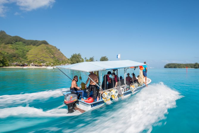 Walking Under the Sea in Moorea - Main Attractions and Experiences