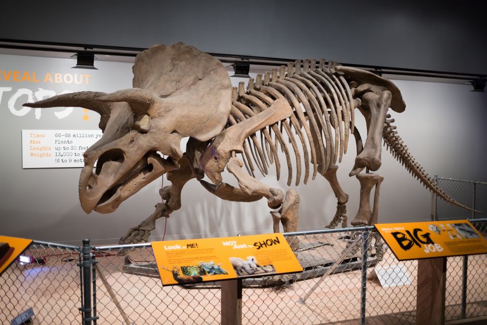 Washington DC: Museum of Natural History Private Guided Tour - Payment Options