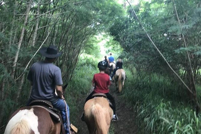 West Maui Mountain Waterfall and Ocean Tour via Horseback - Positive Experiences