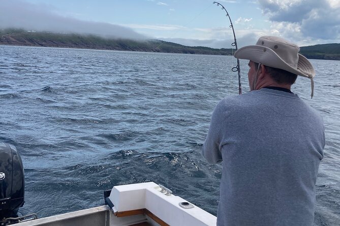 Whale Watching, Shark and Cod Fishing, From St. Johns Harbor - Reviews and Ratings