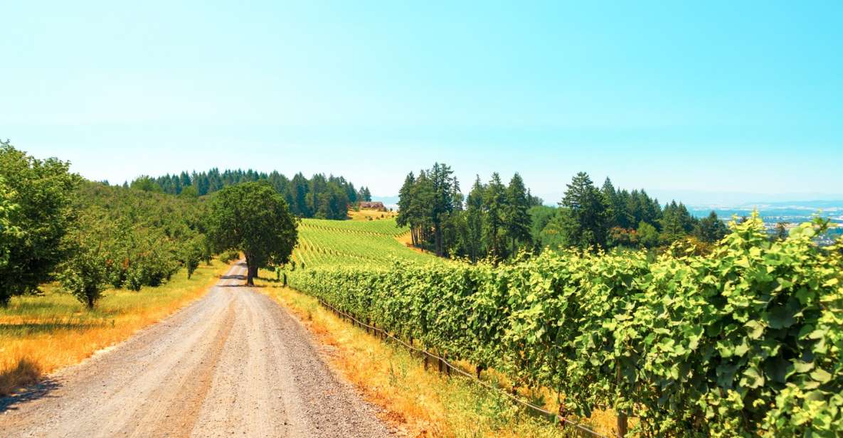 Willamette Valley Wine Tour (Tasting Fees Included) - Tour Highlights