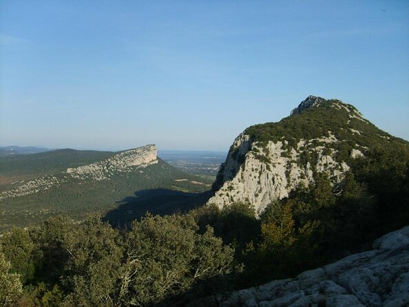 Winetour and Homemade Food Experience in Pic St Loup - Tour Experience