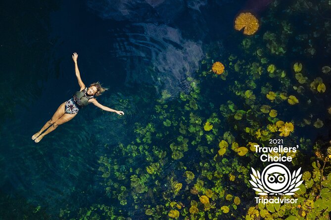 Xcaret Cenotes Guided Tour With Priority Acces, Lunch and Drinks - Experience Highlights