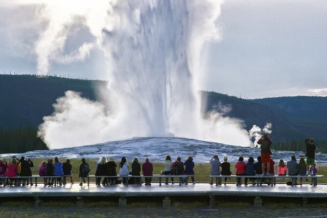 Yellowstone National Park Tour From Jackson Hole - Traveler Feedback and Reviews