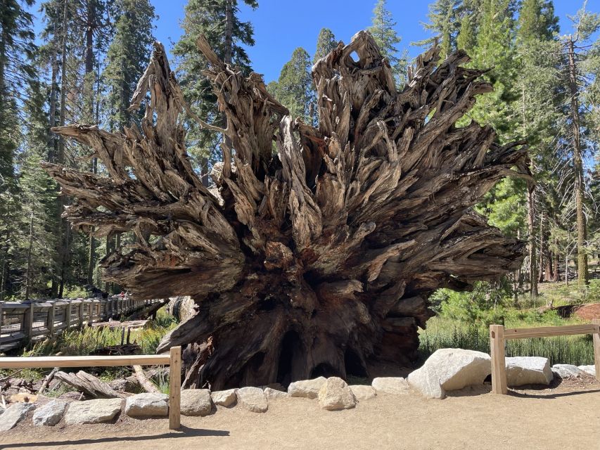 Yosemite, Giant Sequoias, Private Tour From San Francisco - Tour Inclusions and Features