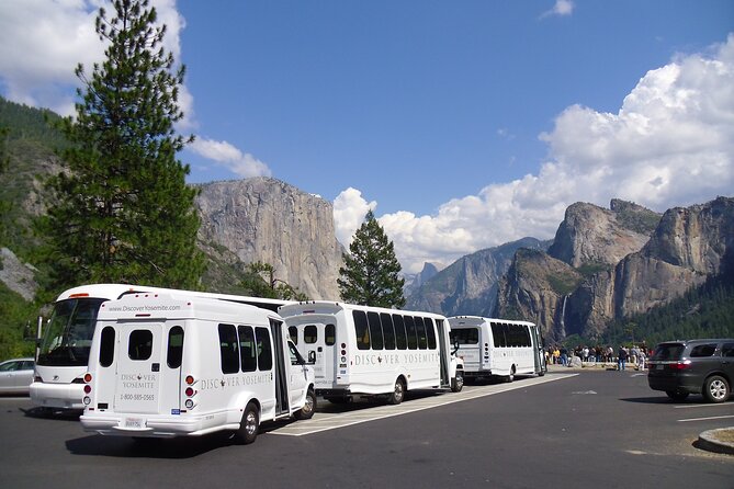 Yosemite Highlights Small Group Tour - Traveler Reviews and Experiences