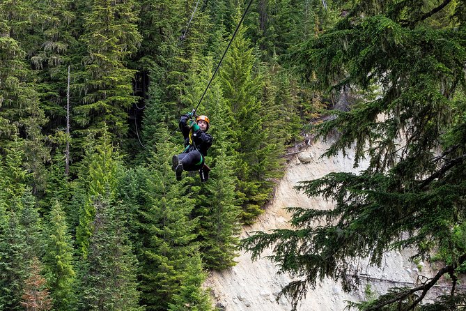 Zipline Adventure in Whistler - Customer Experiences and Recommendations