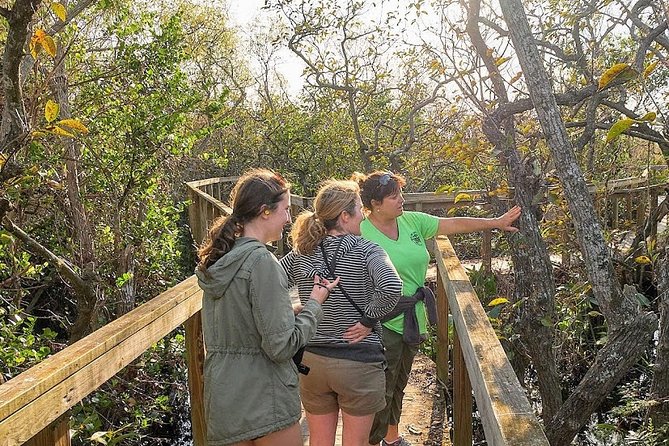 1-Hour Air Boat Ride and Nature Walk With Naturalist in Everglades National Park - Booking Information