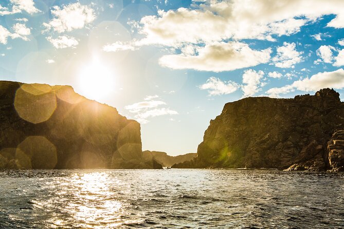 2 Hour Boat Tour in Twillingate - Common questions