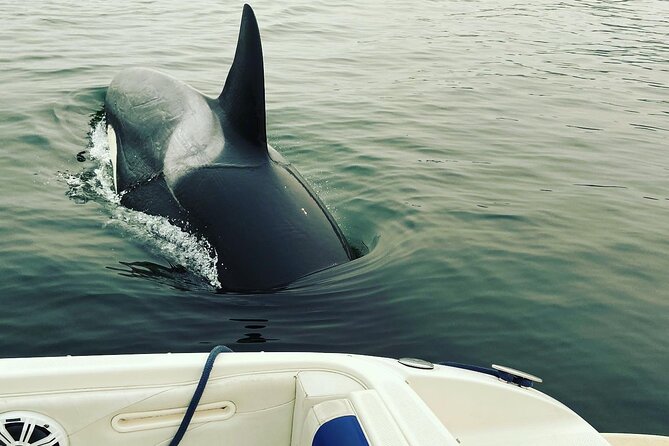 2 Hour Chartered Boat Tour From Deep Cove North Vancouver - Important Information