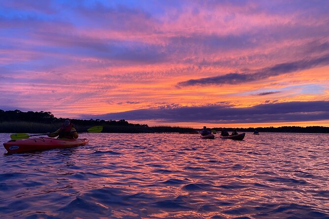 2-Hour Hilton Head Guided Kayak Nature Tour - Customer Reviews and Experiences
