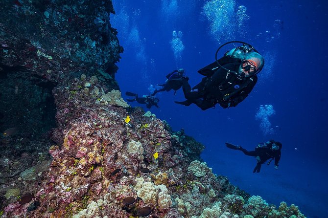 2 Tank Lanai Cathedral Dive - Dive Experience