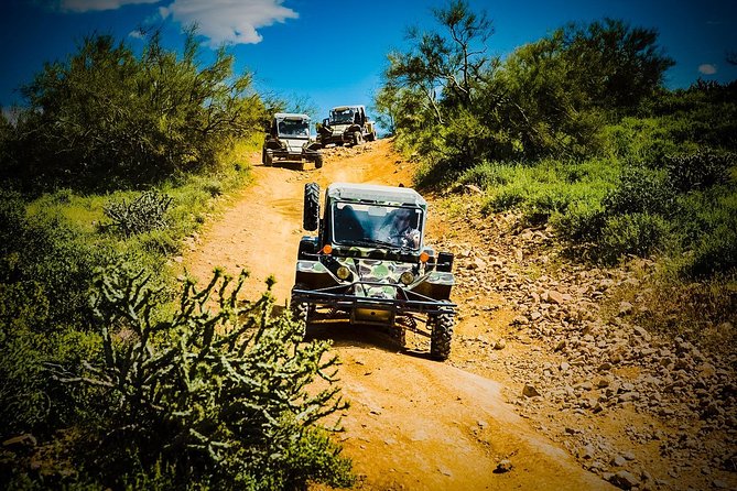 3 Hour Guided TomCar ATV Tour in Sonoran Desert - Common questions
