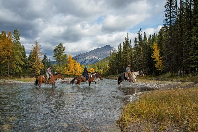 4 Hour Sulphur Mountain Horseback Ride - Common questions