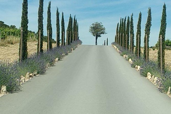 5-Hour Private Sightseeing Tour of the Provence From Marseille in Luxury Car - Additional Information