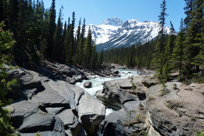 6-Day Rocky Mountains Wapiti Tour From Banff Finish Vancouver - Customer Reviews