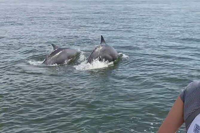 90-Minute Private Dolphin Tour in Hilton Head Island - Cancellation Policy