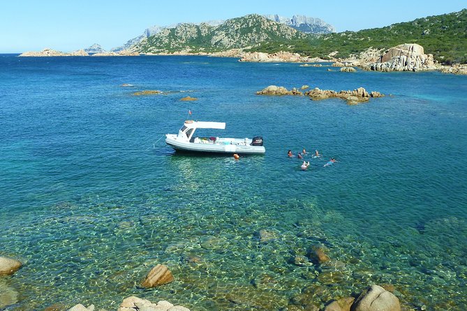 A Half-Day Dolphin-Spotting Cruise in a Rubber Dinghy  - Sardinia - Additional Information