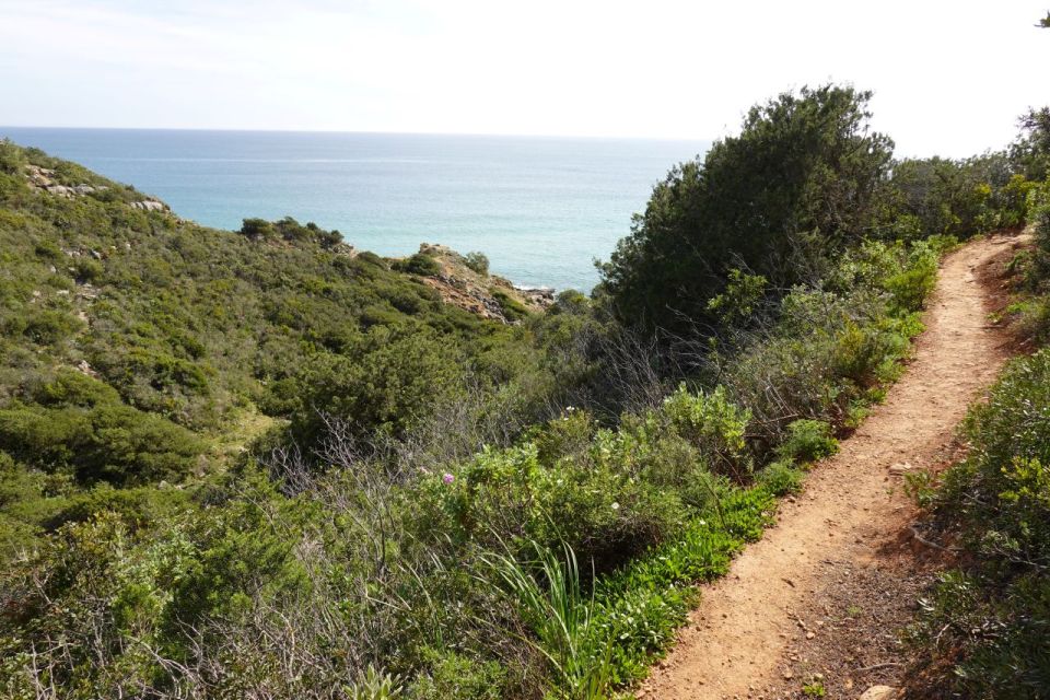 Algarve: Guided WALK in the Natural Park South Coast - Logistics and Information