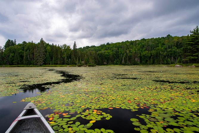 Algonquin Park Private Canoe Trip  - Ontario - Visual Journey Through Photos