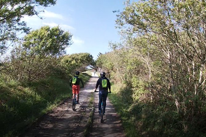 All-Terrain Electric Scooter - 1h30 Guided by GPS - "Carnac Beaches" - Beach Exploration Route