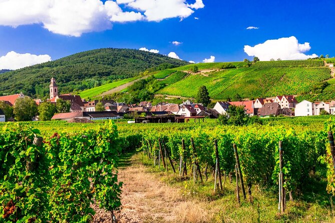 Alsace Wine Route Small Group Half-Day Tour With Tasting From Strasbourg - Overall Experience