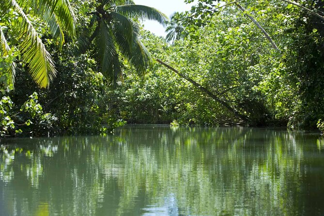 Apetahi Day Trip Around Raiatea on a Modern Outrigger Canoe - Pricing Details and Inclusions