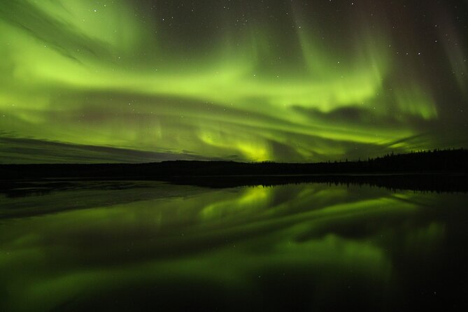 Aurora Hunting Tours - Reviews and Booking Information