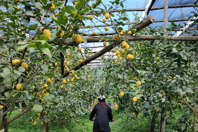 Backroads & Limoncello Experience: Sorrento E-Bike Tour - Unique Experiences and Locations