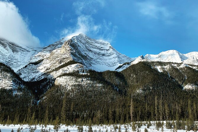 Banff: Best of Banff National Park - Nature Walk 2hrs - Photo Opportunities