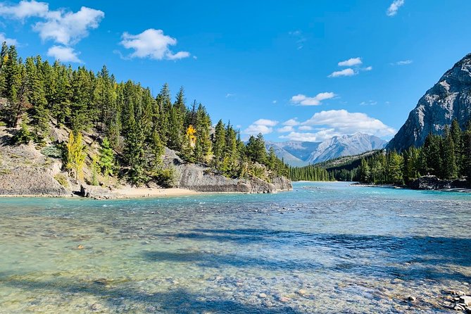 Banff (Canmore) to Calgary Public Shuttle - Reviews