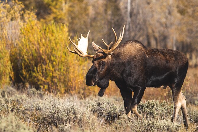 Banff & The Icefields Parkway Small Group Full Day Adventure - Pricing and Inclusions