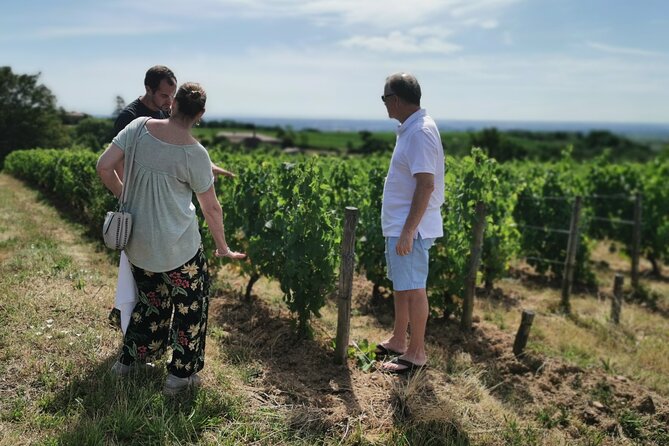 Beaujolais Wine Tasting Day Tour From Lyon - Common questions
