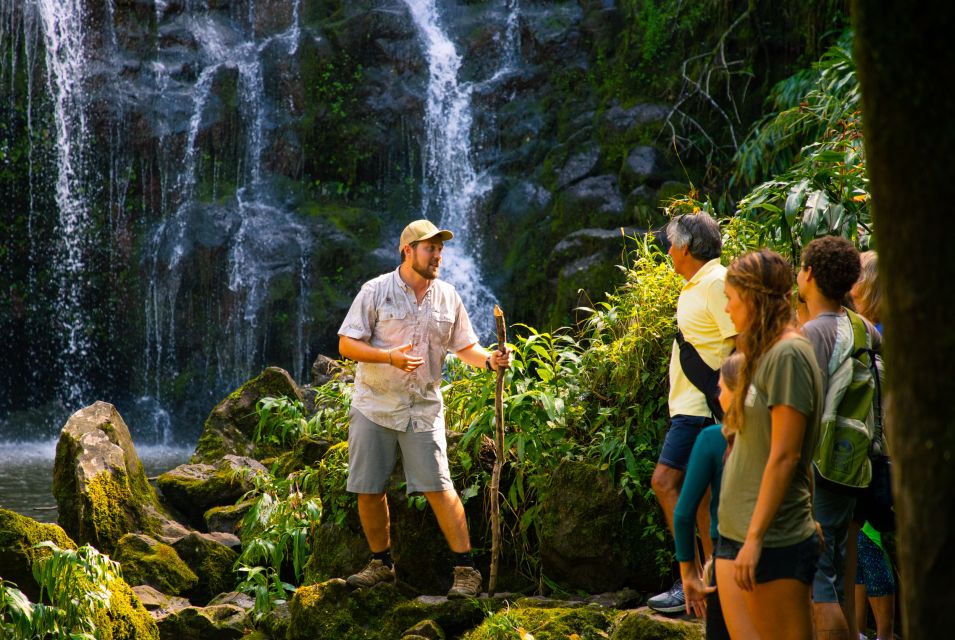 Big Island: Full Day Adventure Tour of the Kohala Waterfalls - Guided Walk and Waterfall Swimming