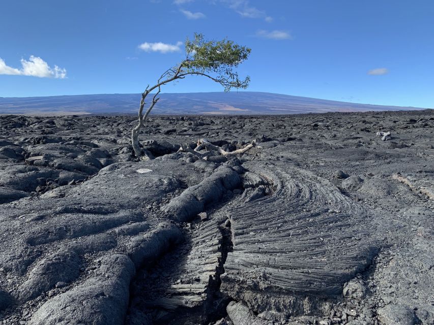 Big Island: Small Group Waterfalls Adventure - Review Summary