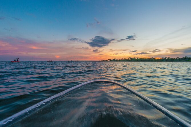 Bioluminescent Clear Kayak Tours in Titusville - Traveler Feedback