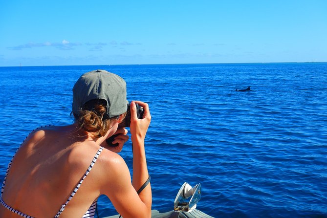 Boat Tour 1/2 Day Excursion in the Lagoon of Moorea - Marine Life Encounters