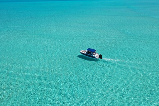 Bora Bora: Luxury Private Half Day Snorkeling Tour - Participant Requirements and Fitness Level