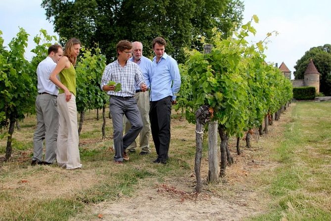 Bordeaux Super Saver Wine Tasting Class With Lunch and St Emilion Region - Price and Product Code