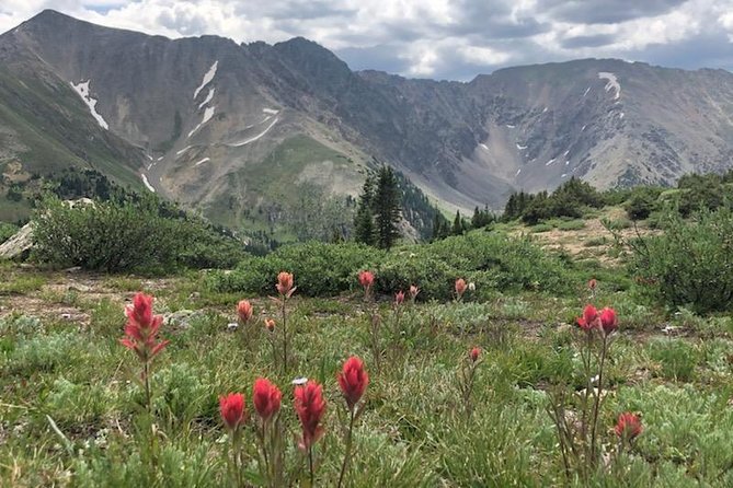 Breckenridge Ultimate Full Day Mountain Tour From Denver - Guide Appreciation