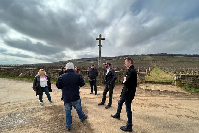 Burgundy Grand Crus Route Day Tour - 12 Wines Tastings in Domains - Winery Visits