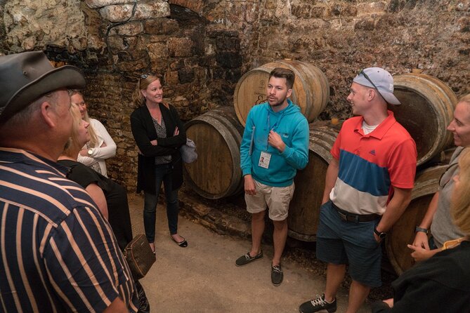 Burgundy Wine Tasting Small-Group Tour in Chablis From Paris - Viator Information