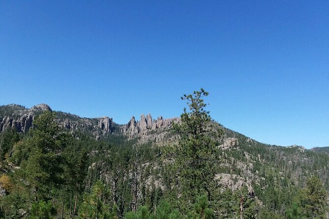 Bus Tour of Mount Rushmore and the Black Hills - Reviews and Cancellation Policy